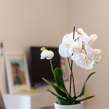 Apartment Ivi 特罗吉尔 外观 照片